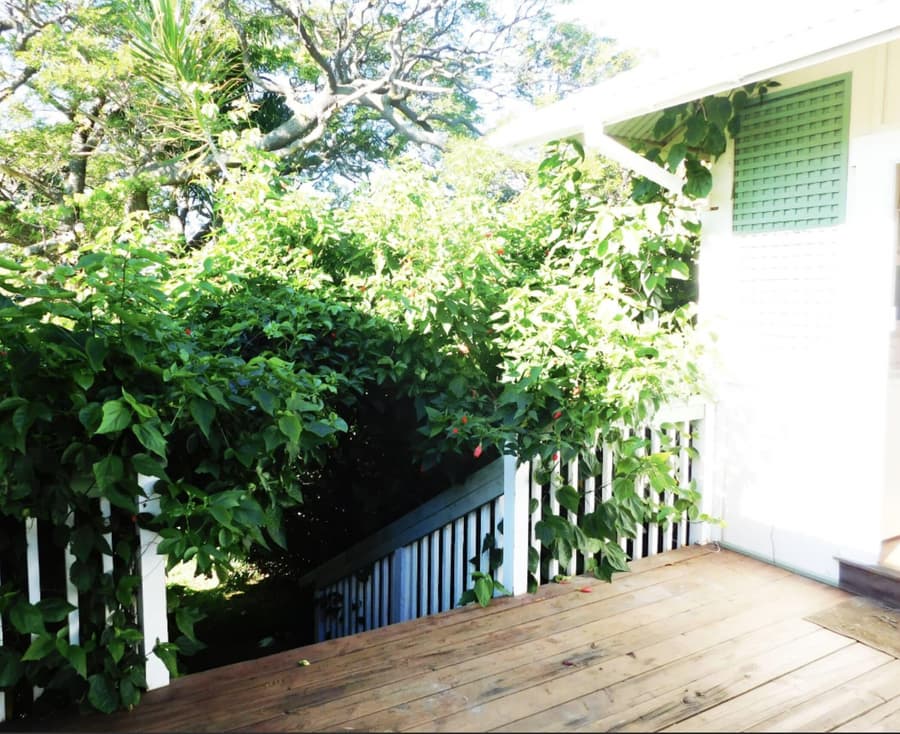 Pahala Plantation Cottages