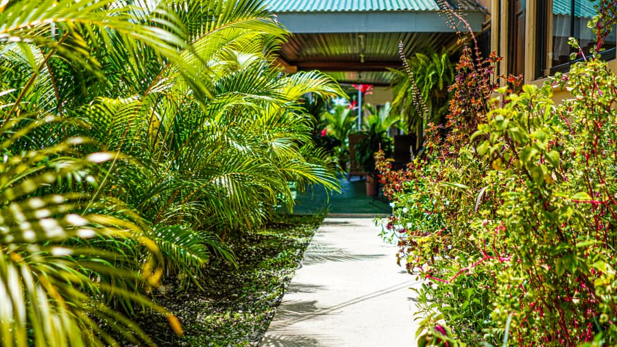 Hotel Campestre Arenal
