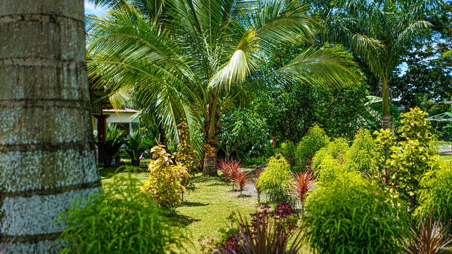 Hotel Campestre Arenal