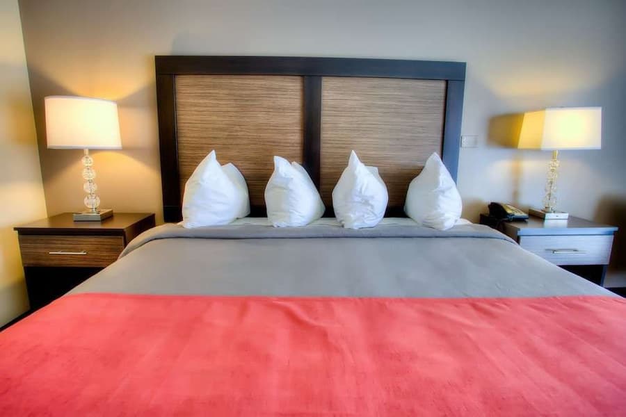 The Beaucatcher, A Boutique Motel