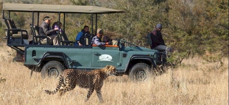 Honeyguide Tented Safari Camps