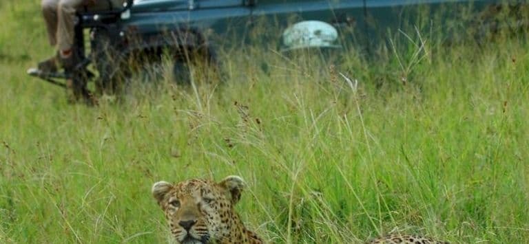 Honeyguide Tented Safari Camps