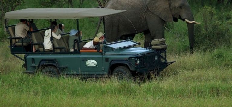 Honeyguide Tented Safari Camps