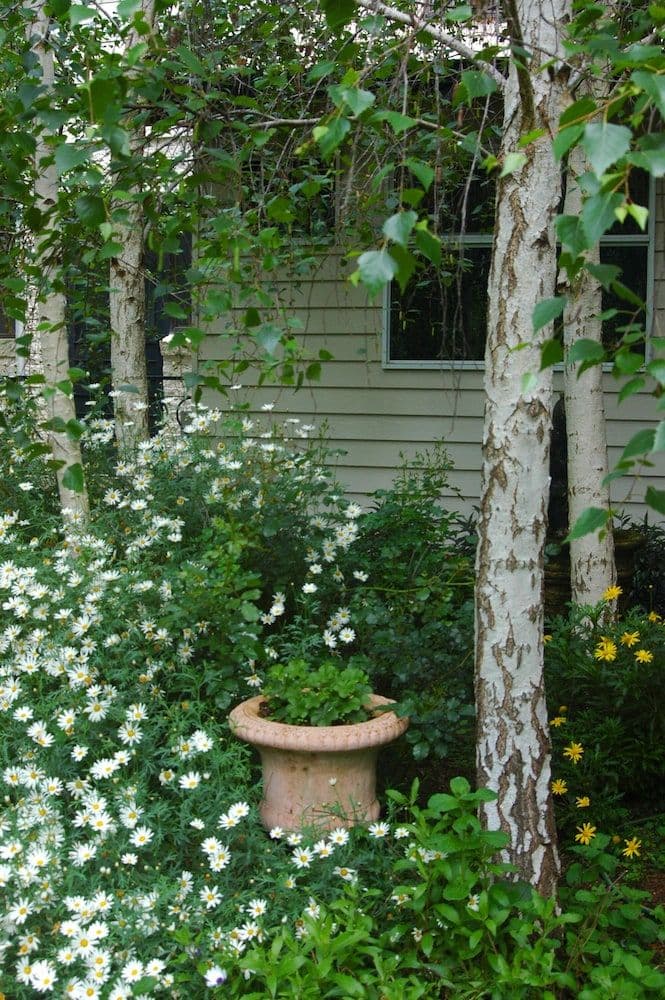 Rosewood Guesthouse