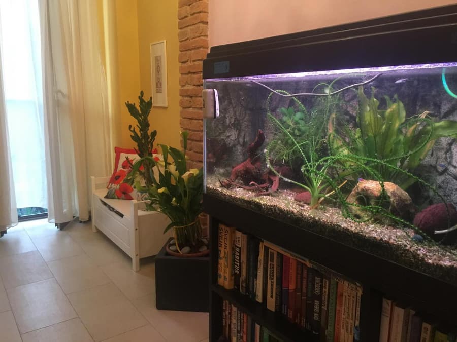 B&B La Casa d'Artista