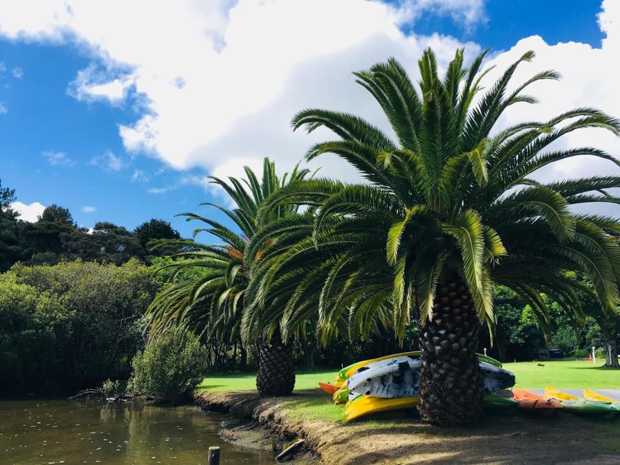 Haruru Falls Retreat