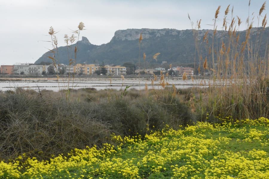 Giardini e Mare
