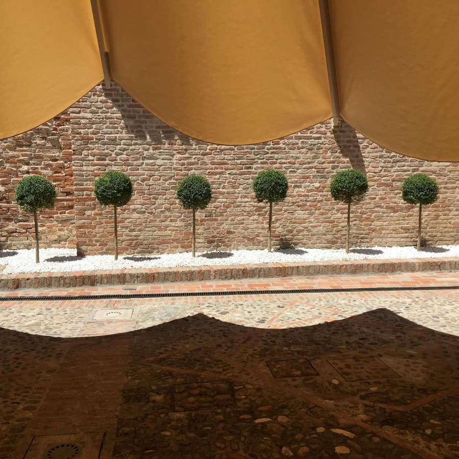Maxxim Hotel & Loft