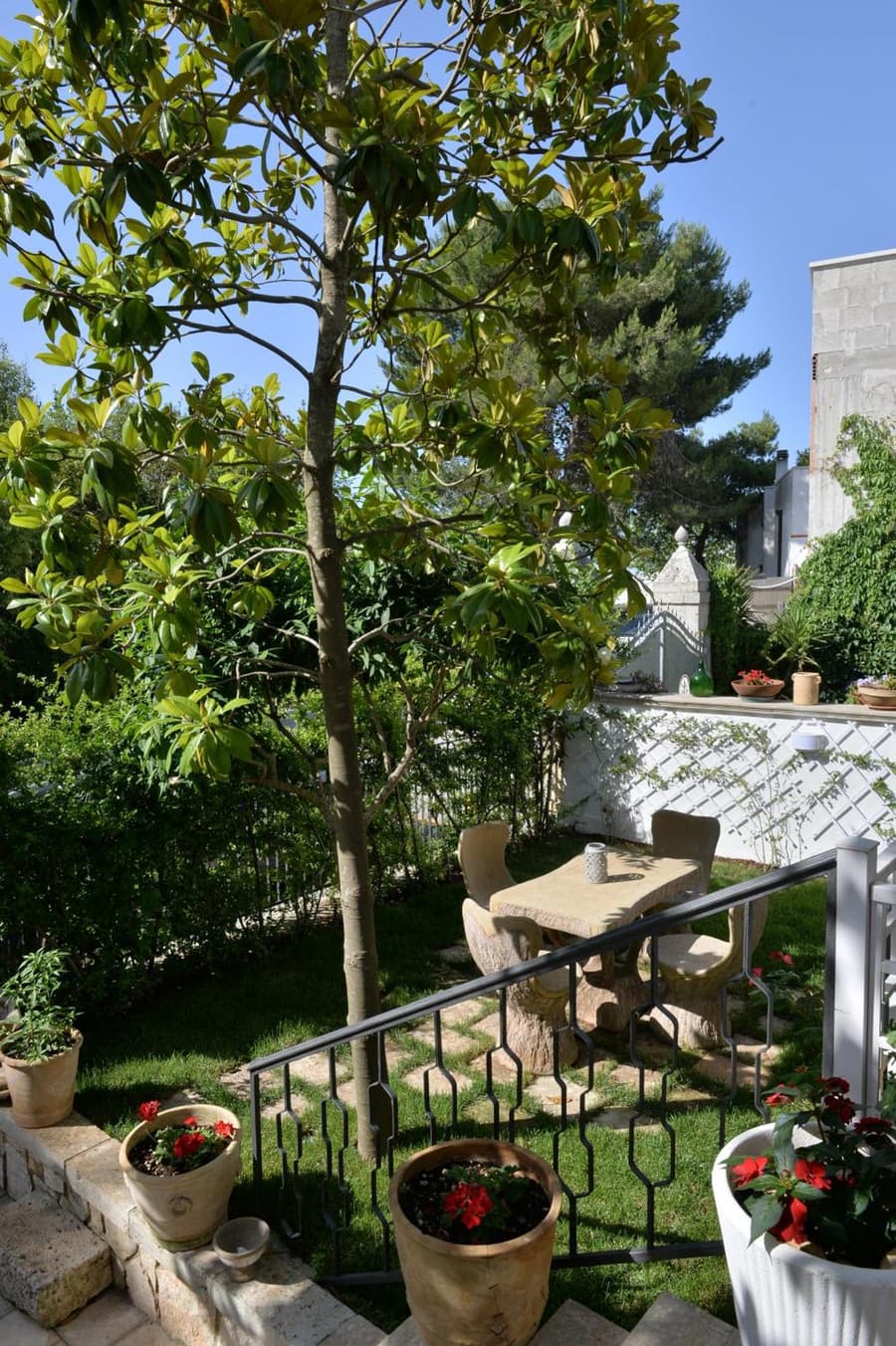 Alba dei Trulli