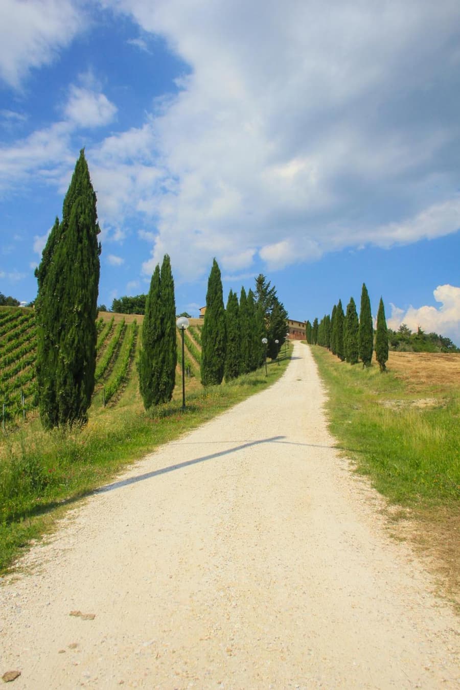 Colle Bertini
