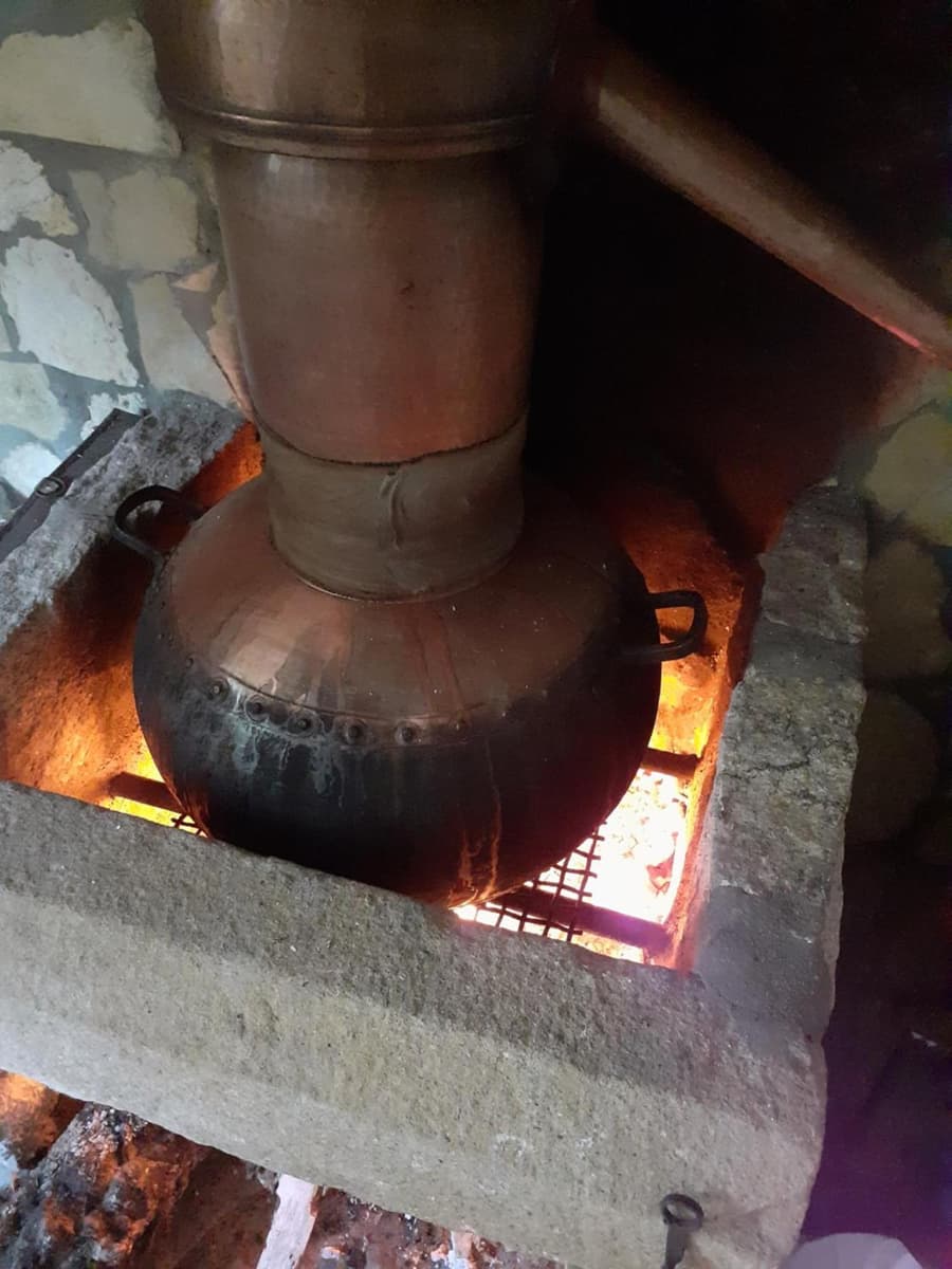Aromas dos Salgueiros