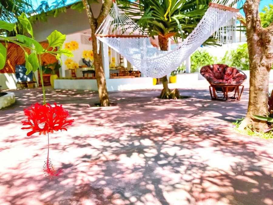 Papaya Guest House Nungwi