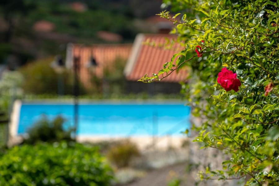 Quinta das Vinhas