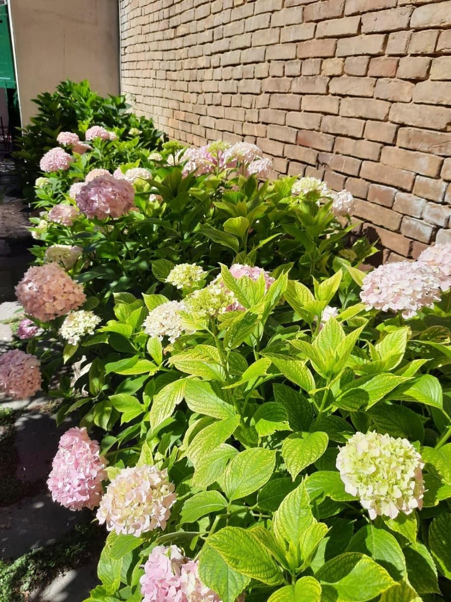 Il Giardino Nascosto B&B