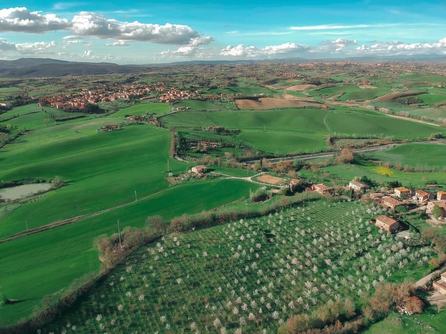 Tenuta La Santissima