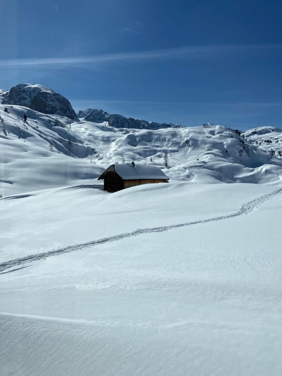 Gjaid-Alm 1739m am Dachstein-Only Accessible by Cable Car