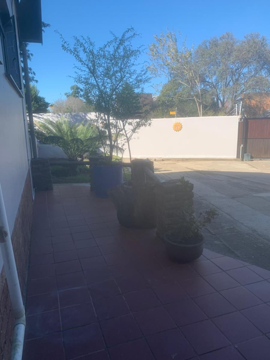 Cycad Stay