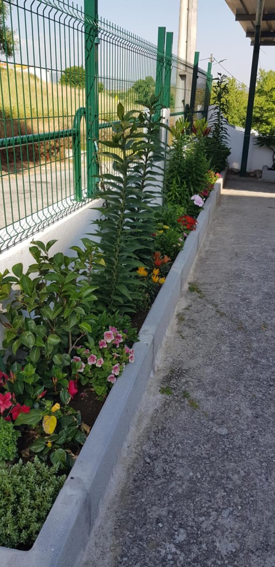 Ferrinho