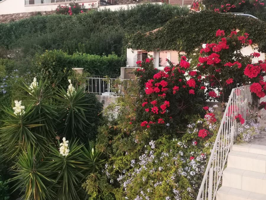 Villa Patrizia