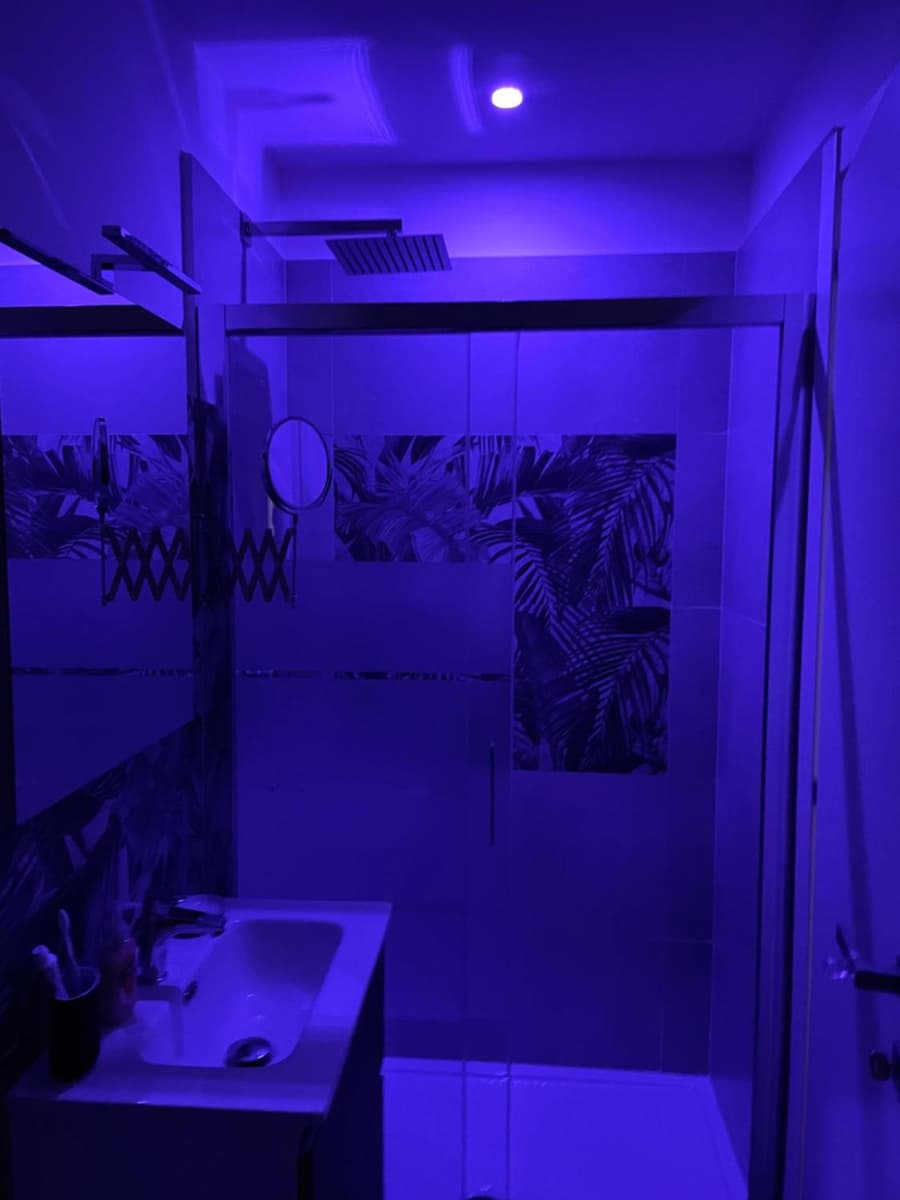Stella Rooms