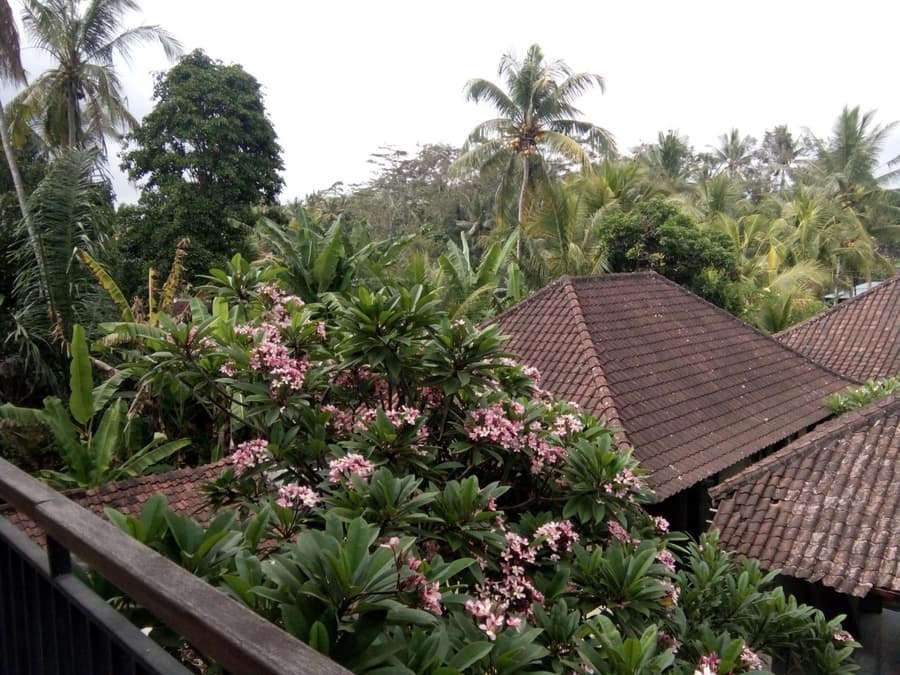 Manada Guest House