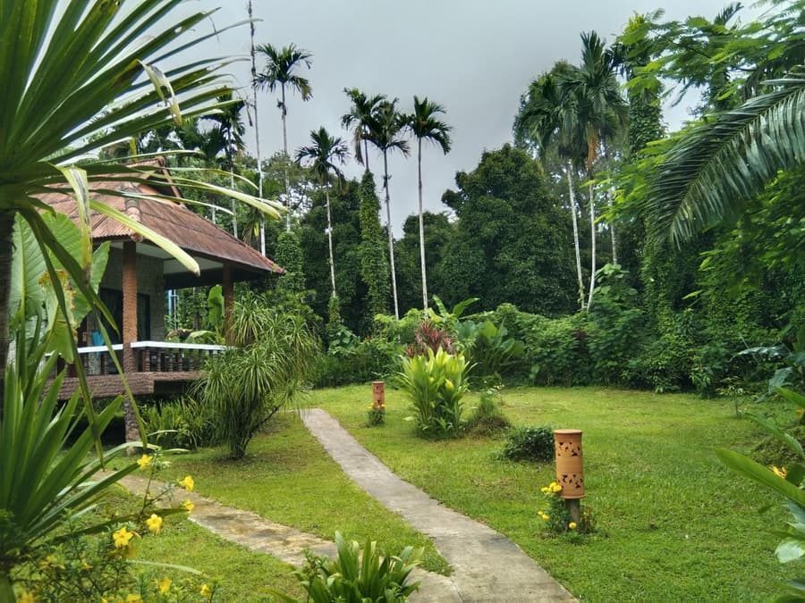 Khao Sok River & Jungle Resort