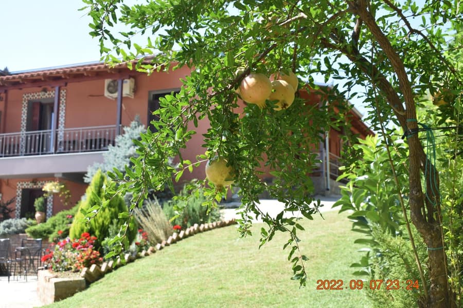 Hotel Meteora