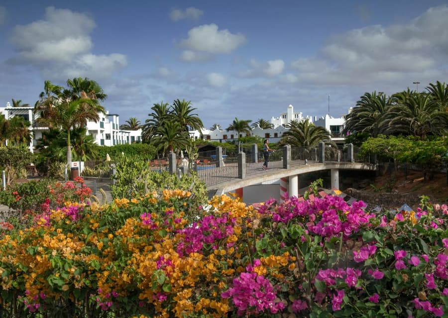 Las Marismas de Corralejo