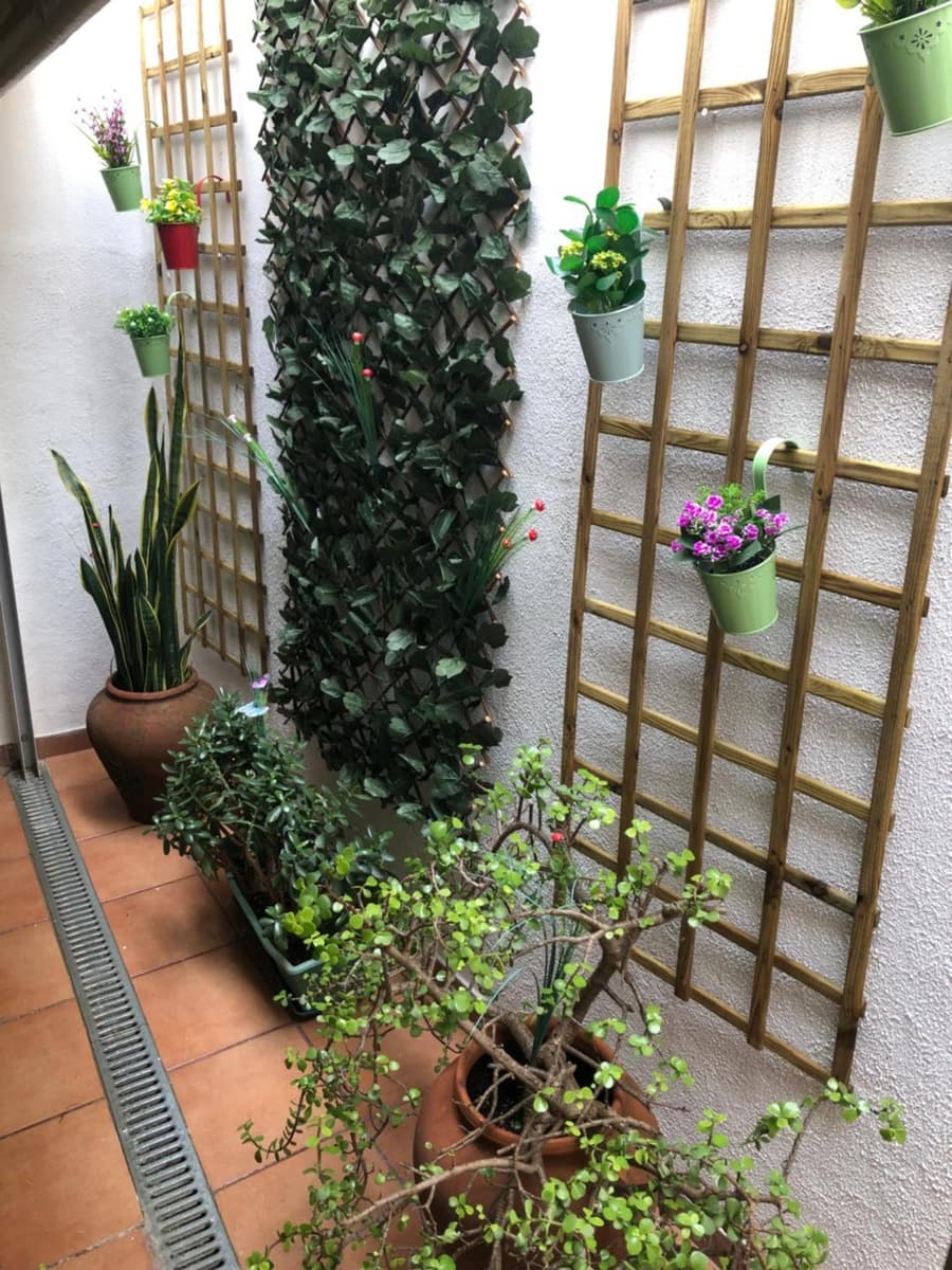 Merry's House