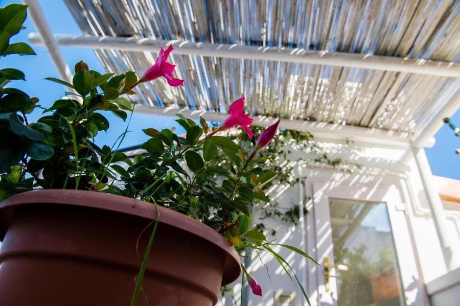 B&B Casa Dorsi