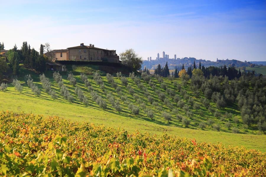 Agriturismo Montegonfoli