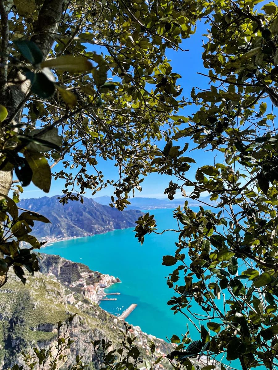 Agriturismo Punta San Lazzaro