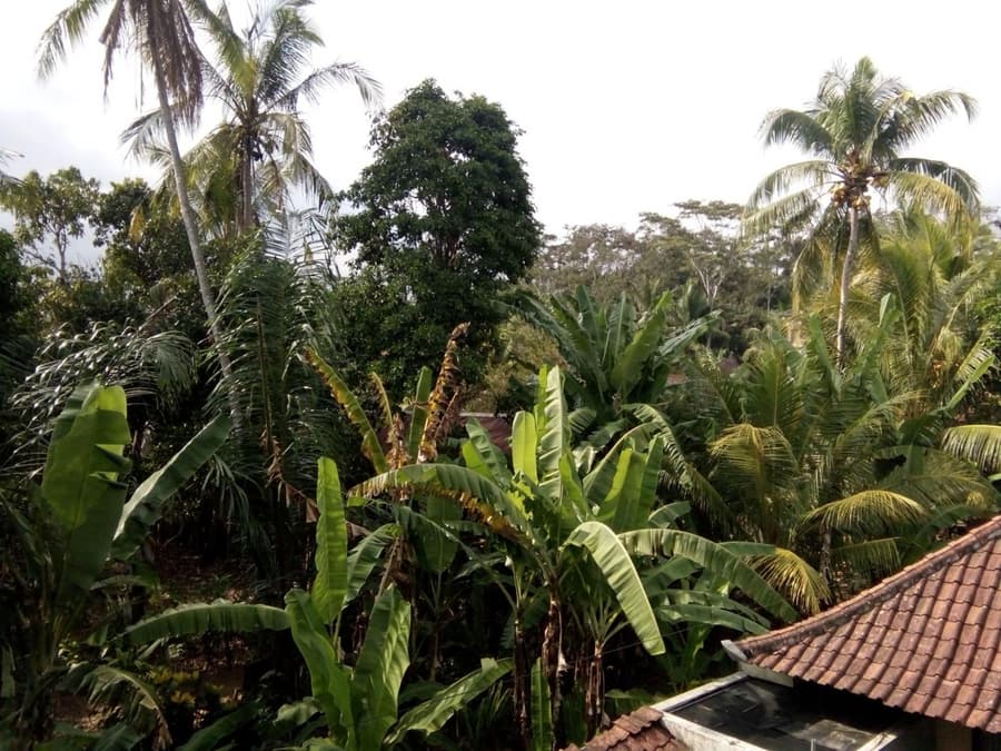 Manada Guest House
