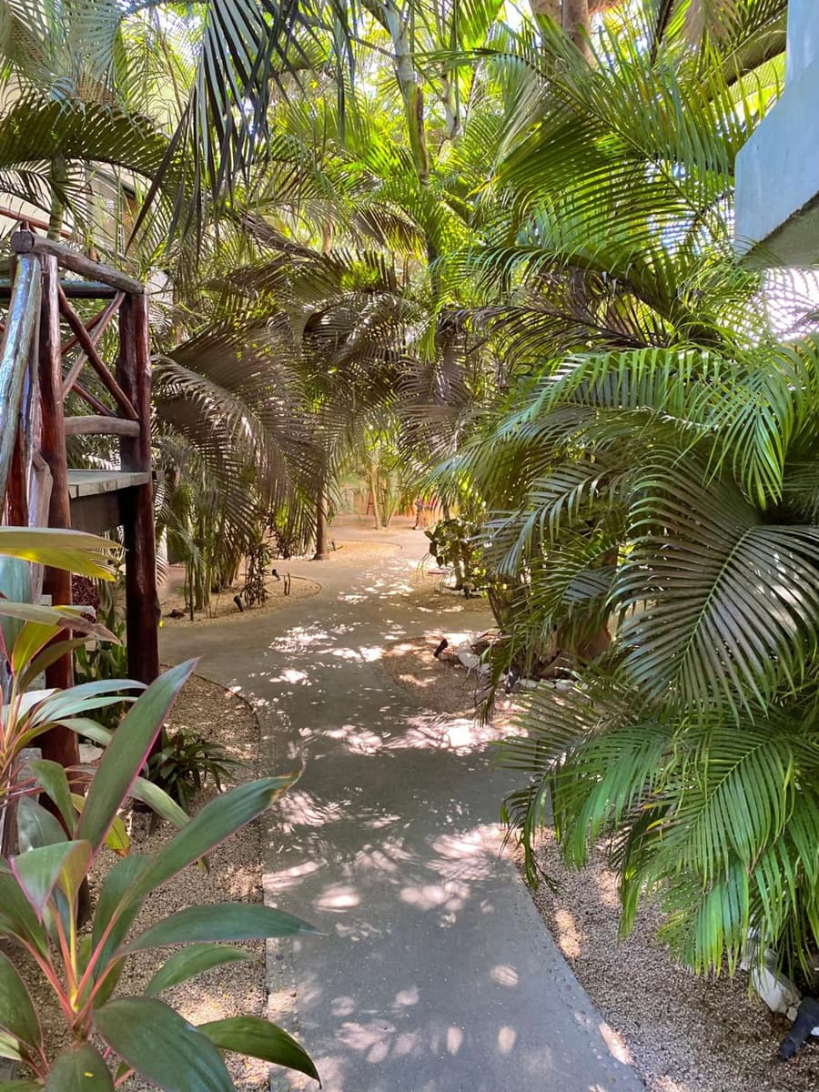 Pacha Tulum Boutique Hotel