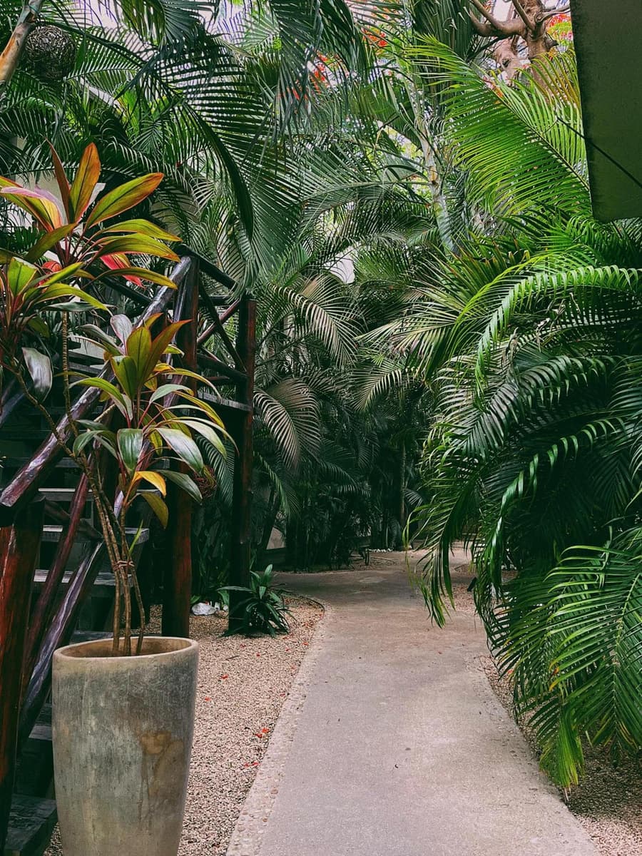 Pacha Tulum Boutique Hotel
