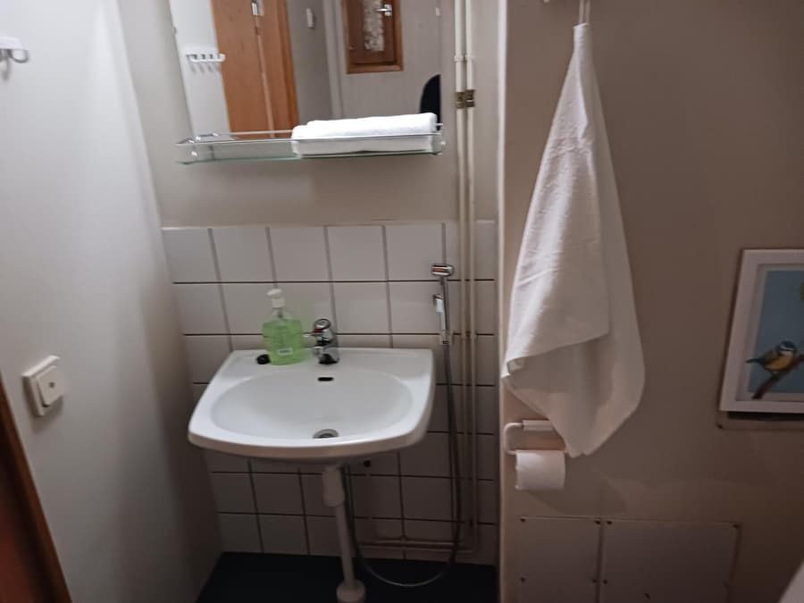 Apartment Reki