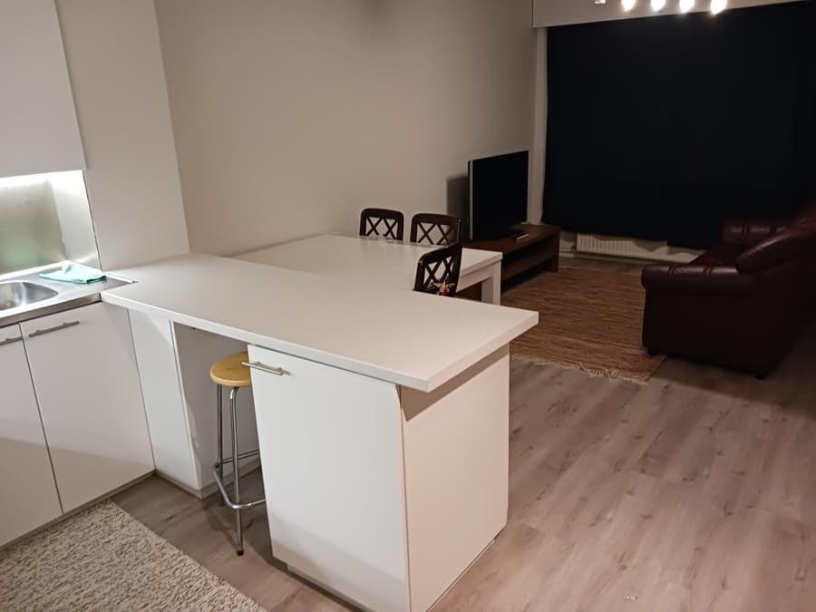 Apartment Reki
