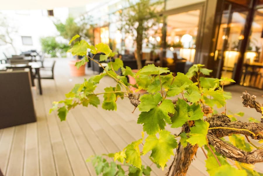 Luna Inn Stuttgart City
