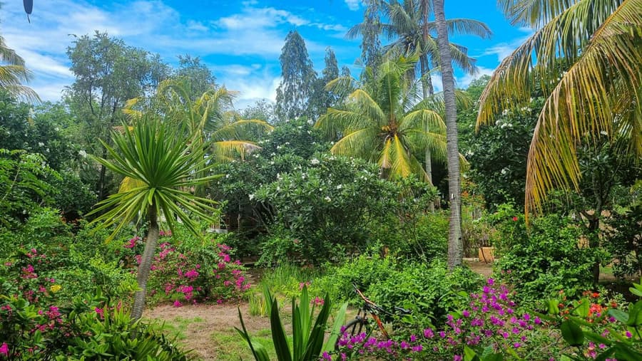 Ananda B&B - Adults Only