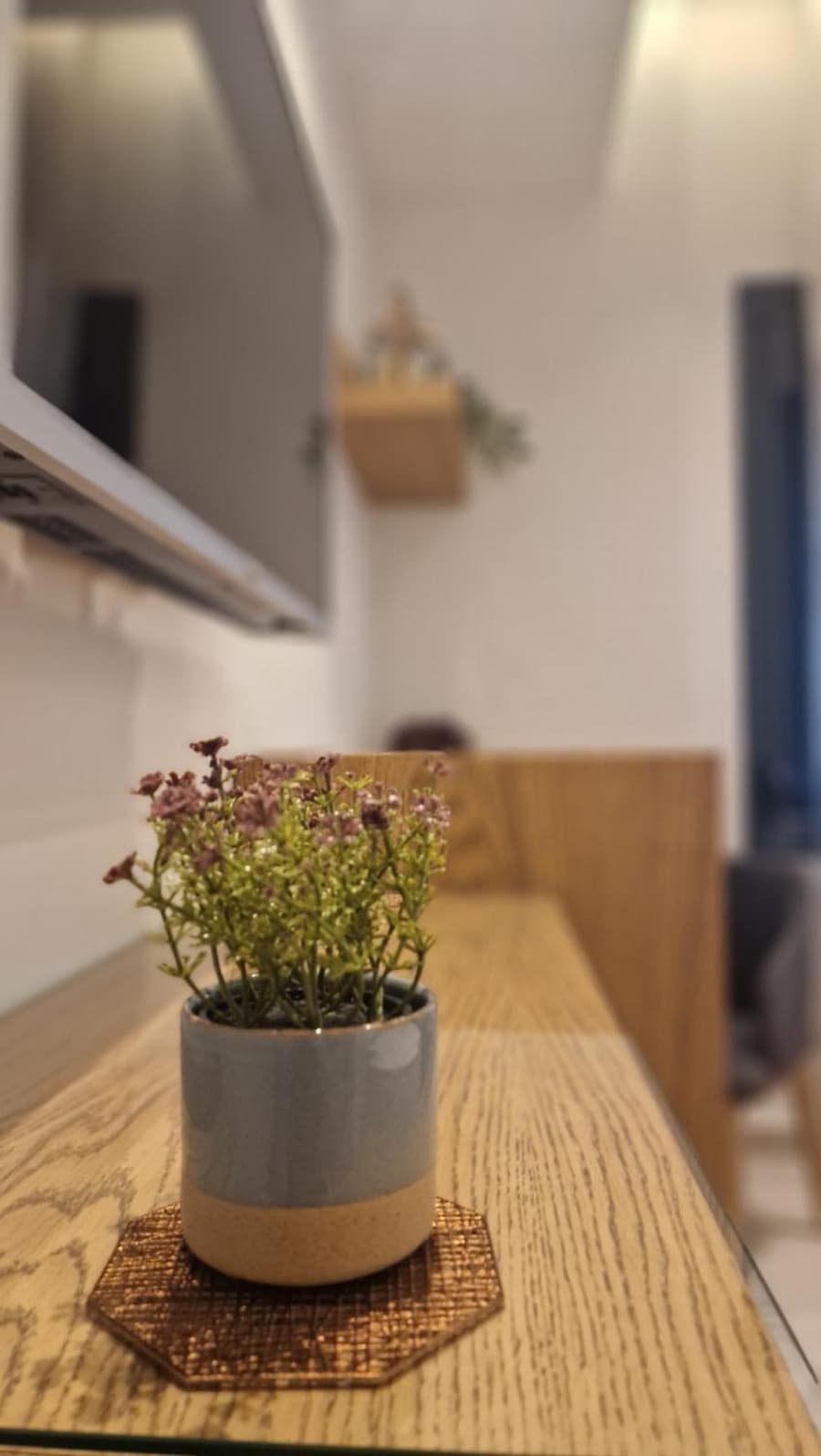 MELIGEO Suites Center of IOANNINA