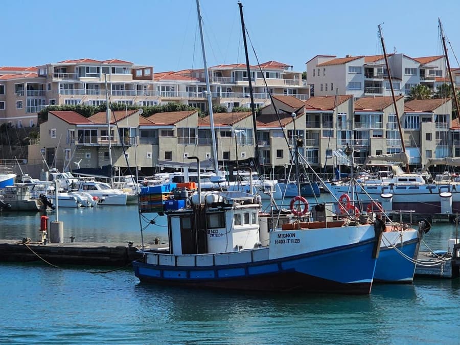 Harbour Club