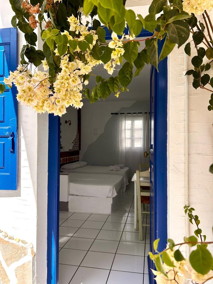 Jasmine of Cyclades