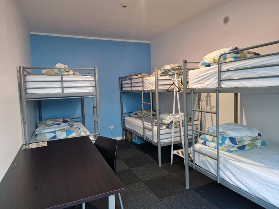 Palm Tree Apartments & backpackers