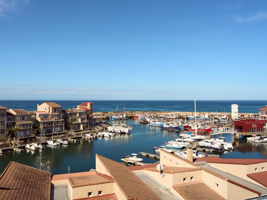 Harbour Club