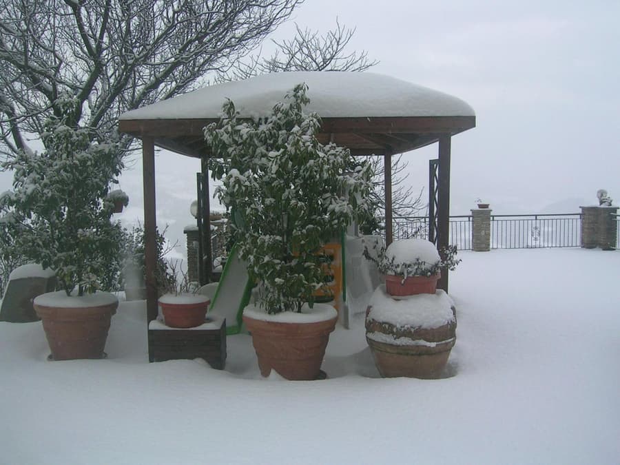 B&B La Terrazza Del Subasio