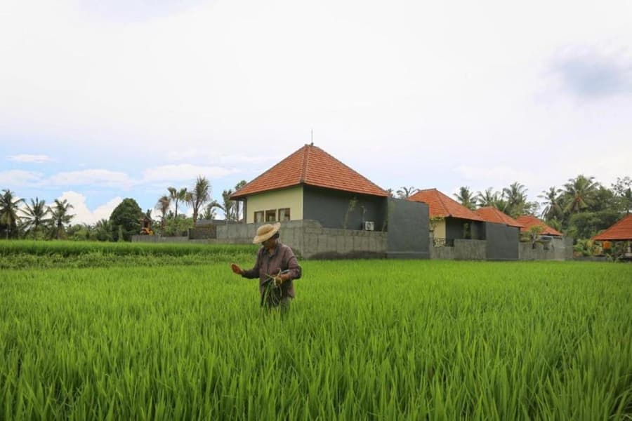 Asri Sari Ubud Resort