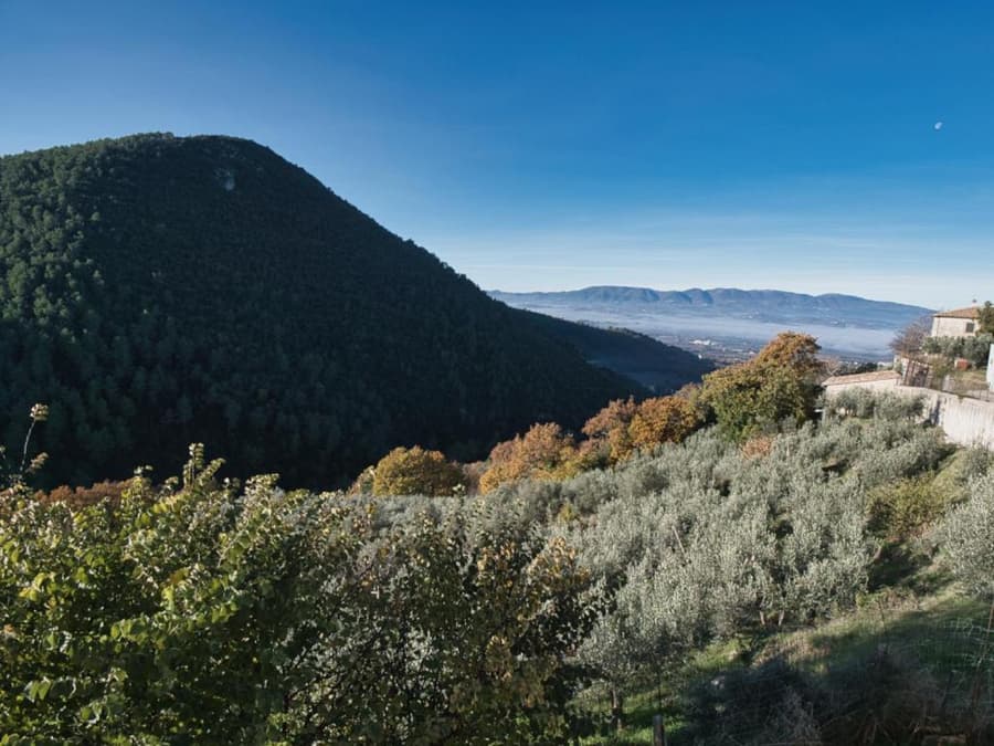 B&B Manca1Fiorino