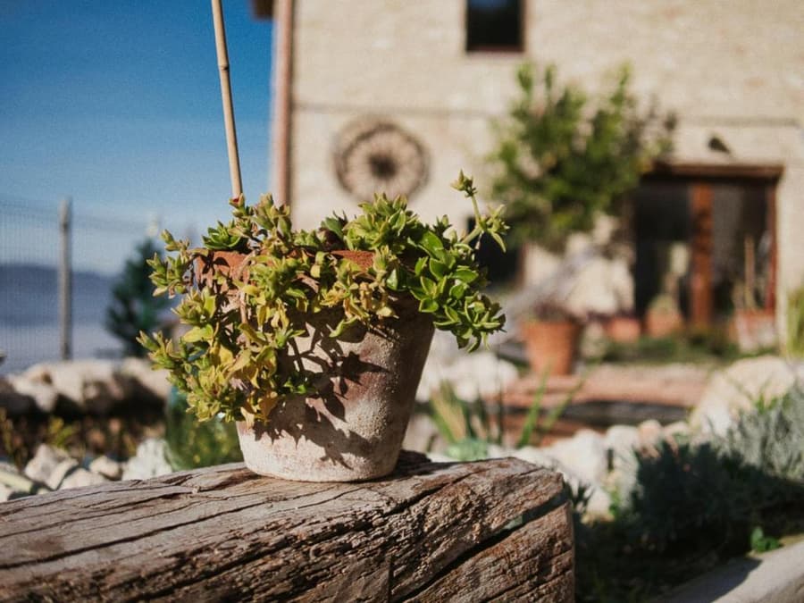 B&B Manca1Fiorino