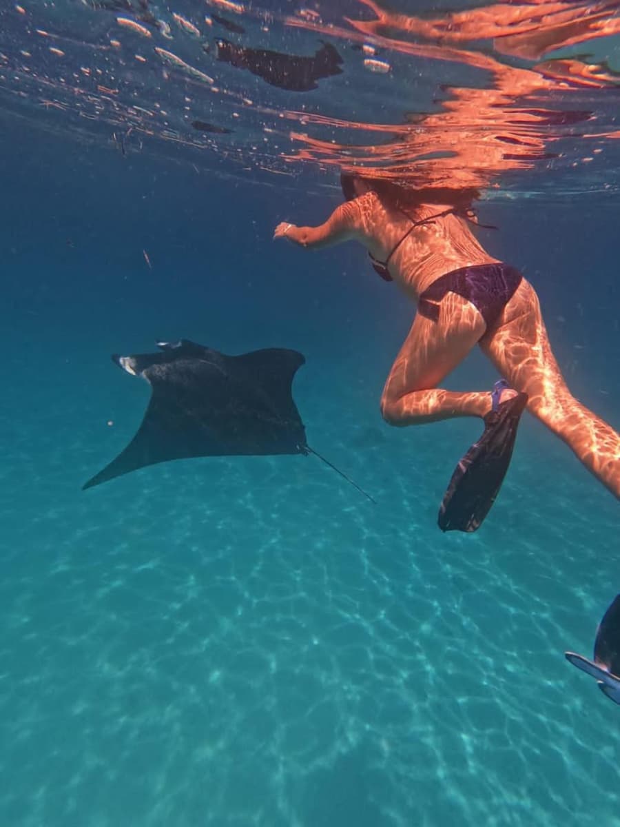 Island Scuba