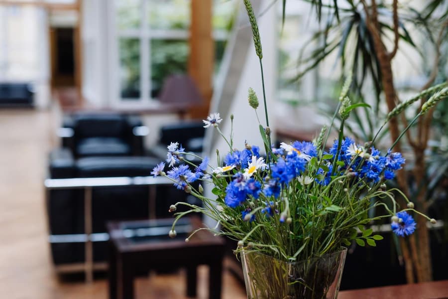 Hestia Hotel Jugend